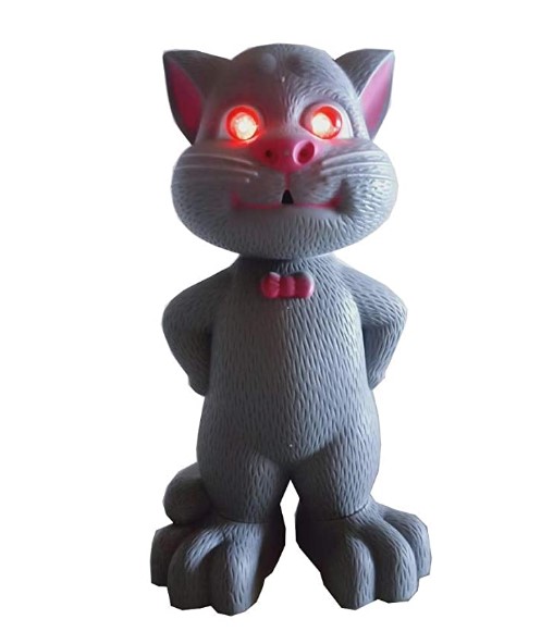 Talking Tom with AI Touch Sensitive and Recording