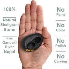 Laxmi Narayan Shaligram 