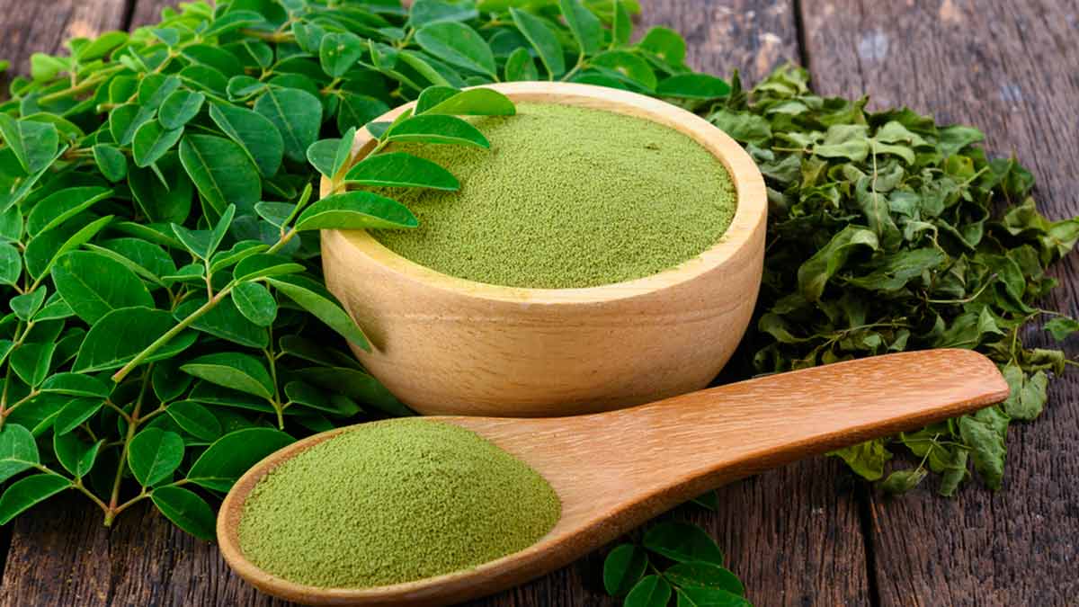 Moringa Herbal Powder-1000gm 