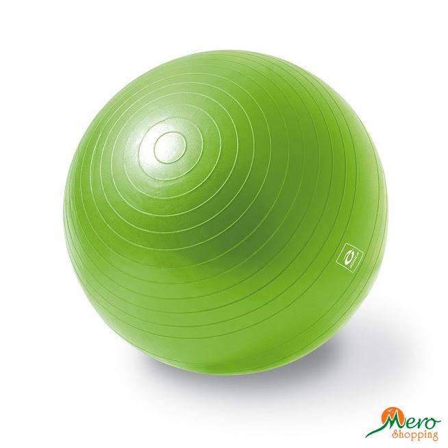 Gym Ball 65 cm Diameter (Pump Included) 