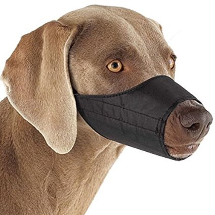 Nylon Dog Muzzle 