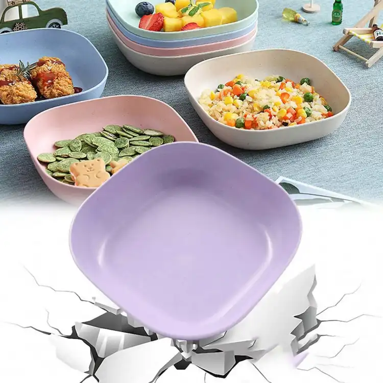 Snacks Plate Set of 10pcs (2 set)